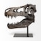 Homeroots Authentic Replica T Rex Skull Sculpture 392483 - alternate 4