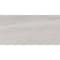 Daltile Core Fundamentals Platinum 12'' x 24'' Floor Tile 17.60 SQFT Per Carton, 9PK CT75RCT1224MTJ1 - alternate 6