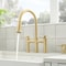 Blanco Empressa Bridge Pull-Down Faucet 1.5 GPM, Satin Gold 442981 - alternate 5