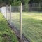 Wrightmaster 48 in. x 328 ft. 14-Gauge Reinforced Hot-Dip Galvanized Poultry Fencing, Expertly Woven ZoroP376871 - alternate 3