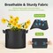 Yssoa Simple Deluxe Grow Bags 3 Gallon Planter Pots with Handles, Black, 5PK GLGROWBAG3X5BLKV2 - alternate 5