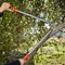 Corona Tools ClassicCUT Bypass Lopper, 31 in., 1-3/4 in. Cut Capacity SL15167 - alternate 4