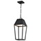 Nuvo Colt, 10 Watt, LED Hanging Pendant, Matte Black Finish 62/2314 - alternate 6