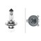 Hella BULB 75/70W P43T T4.625  H4 24V - alternate 2