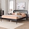Baxton Studio Florica Art Deco Black Wood Queen Platform Bed 255-14153-ZORO - alternate 3