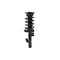 Fcs Struts Suspension Strut And Coil Spring Assembly 1335804R - alternate 1