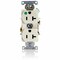 Leviton Electrical Receptacles Hg Dup Rec 20A-125V Back Lt Almond 8300-HT - alternate 1