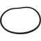 Cnh GASKET, CNH OEM S117039 S117039 - alternate 1