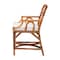 Bali & Pari Alondra Natural Rattan Dining Arm Chair 264-14384-ZORO - alternate 6