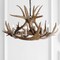 Jonathan Y Nelle 28.5" Adjustable Resin Antler 6-Light Chandelier, Brown JYL6302A - alternate 8
