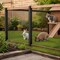 Wrightmaster 48 in. x 50 ft. 19-Gauge Animal-Safe Black Vinyl Coated Poultry Fencing, 1/2 Grid ZoroP503851 - alternate 2