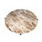 Homeroots 32" Brown and Charcoal Genuine Marble Round Coffee Table 632673 - alternate 5
