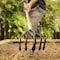 Ames 5-Tine Floral Cultivator, Welded Steel, Hardwood Handle, Cushion Grip 2916300 - alternate 4