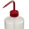 Nalgene Wash Bottle, Plastic, Colorless, PK24 2422-5500 - alternate 3