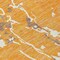Homeroots 10' X 14' Orange Brown And Ivory Striped Washable Indoor Outdoor Area Rug 600917 - alternate 5