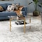 Homeroots 32" White And Gold Glass And Steel Square Coffee Table With Shelf 521991 - alternate 6