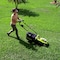 Sun Joe 48V iON 17 In Cordless Mulching Lawn Mower w/Grass Catcher, Batteries & Chrgr 24V-X2-17LM - alternate 9