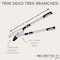 Kings County Tools Tree Trimmer Loppers Double Ratcheting Anvil Lopper Extendable 26 in 40 in Long Handles Loppers KC8807-08 - alternate 4