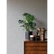 Advantage Ryu Light Grey Cement Texture Wallpaper 4035-37656-8 - alternate 2
