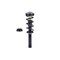 Fcs Struts Suspension Strut And Coil Spring Assembly 1355170 - alternate 1
