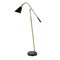 Homeroots 52" Black Swing Arm Floor Lamp With Black Cone Shade 523465 - alternate 1