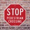 Signmission Stop Pedestrian Crossing, 6 Inch X 6 Inch, Plastic Sign OC-P-6-7 - alternate 3