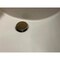 Cmi Compass Manufacturing 1-1/4'' Matte Gold Easy Clean Drain Safeguard Push Style Pop-Up Drain 892-7534 - alternate 3