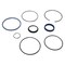 Agco SEALS KIT, AGCO OEM 700719999 700719999 - alternate 1