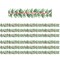 Teacher Created Resources Holly Die-Cut Border Trim, 35 Feet Per Pack, 6PK TCR8867 - alternate 1