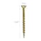 Freeman No. 8 x 1-3/4in Square Drive Bugle Head Subfloor to Wood Screws, 1000-Count SCRFLW-175 - alternate 6