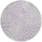 Homeroots 8' Lilac And Ivory Round Geometric Washable Indoor Outdoor Area Rug 595087 - alternate 4