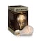 Bulbrite 25 Watt Dimmable Antique Nostalgic Loop Filament A19 Medium E26 Incandescent Bulb, 4 PK 861373 - alternate 3