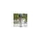 Woodlink Going Green Mixed Seed Tube Feeder, 2-Lb. 24045 - alternate 5