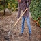 Corona Tools Square Point Shovel, 16-Gauge, 43 in. Wood Handle SS 11000 - alternate 3