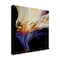 Trademark Fine Art Outdoor Canvas Art Cody Hooper 'Evoke' Wall Art for Patios, or Gardens ALI0274-OC1414WR - alternate 1