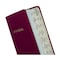 Tabbies BIBLE INDEXING TABS- SPANISH CLASSIC OT & NT, 80 GOLD-EDGED TABS, 1"L-1/4" EXT, 10 PKS/BX, 10PK 58353 - alternate 4
