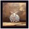 Homeroots Ruby the Rabbit Black Framed Print Wall Art 415341 - alternate 1