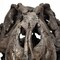 Homeroots Authentic Replica T Rex Skull Sculpture 392483 - alternate 5
