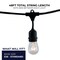 Bulbrite 48 ft. Plug-in Edison Bulb S14 Vintage Style LED Black String Light w/15 sockets-Bulbs included 812482 - alternate 4