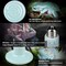 Simple Deluxe 150W Reptiles Ceramic Heat Lamp Suitable for E26 Base, 24H Heat Source, No Light Emitting Infrare, 2PK PTBULBINVISIBLE150LBLX2 - alternate 5