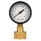 Water Source Pressure Gauge, 3/4 in Connection, Female, 2 in Dial, 0 to 100 psi WSPGH100 - alternate 4