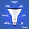 Bulbrite 90-W Equivalent, Blue Color PAR38 Weatherproof Outdoor E26 Medium Base Flood LED Light Bulb COLOR 861911 - alternate 2