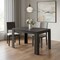 Homeroots 47" Black Dining Table 366057 - alternate 3