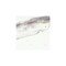Daltile Eclessia Marble Natural Stone 12 x 24 Wall and Floor Tile Honed, 10.00 SQFT Per Carton, 5PK M34512243/8HN - alternate 5