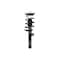 Fcs Struts Suspension Strut And Coil Spring Assembly 1335825R - alternate 1