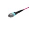 Monoprice MM OM4 OFC  MTP-16 Elite UPC (F) to MTP-16 Elite UPC (F) 16-Fiber OFNP Type B Magenta 5m 48211 - alternate 3