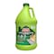 Home Armor Outdoor Cleaner Concentrate 1 gal Liquid HA505 - alternate 1
