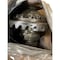 John Deere DIFFERENTIAL ASSEMBLY4.11 1, JOHN DEERE OEM AT254764 AT254764 - alternate 4
