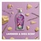 Softsoap Antibacterial Hand Soap, Lavender and Shea Butter, 11.25 oz US07058A - alternate 6