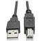 Tripp Lite Hi-Speed USB 2.0 to USB B Cable Coiled USB A-B M/M 6FT 6ft U022-006-COIL - alternate 2